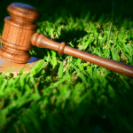 Hertes Ufei Hassegawa