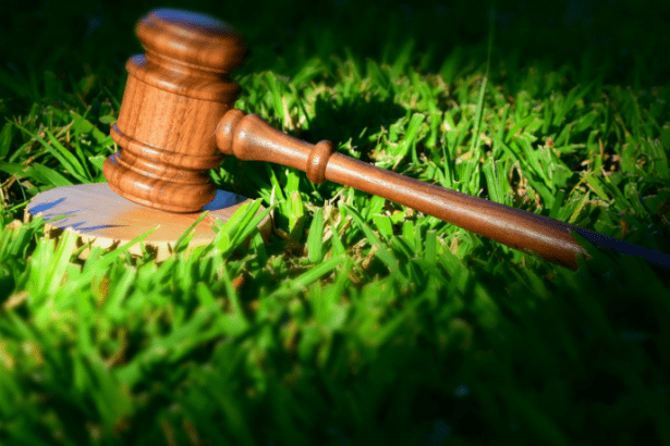 Hertes Ufei Hassegawa