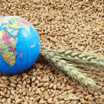 Rafael Bittencourt Licurci de Oliveira