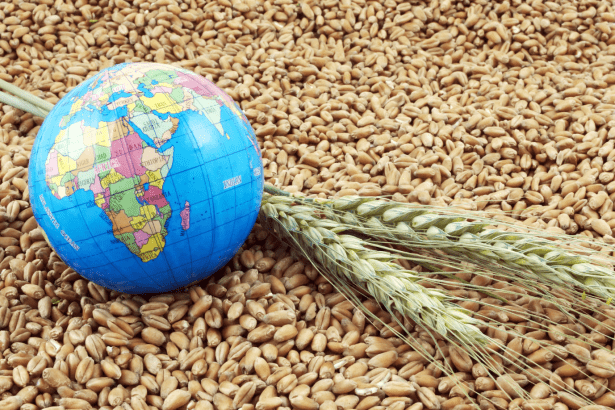 Rafael Bittencourt Licurci de Oliveira