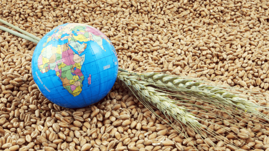 Rafael Bittencourt Licurci de Oliveira