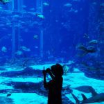 Aldilene Francisca de Moraes