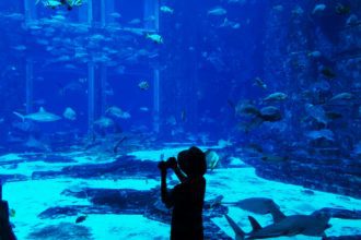 Aldilene Francisca de Moraes