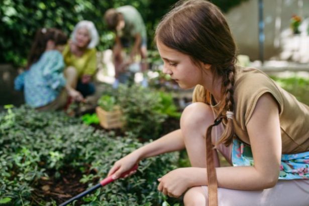 SUDU Tecnologia Educacional LTDA