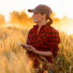 Tecnologia no Campo em Mato Grosso do Sul Impulsiona Produtividade e Posiciona Estado como Referência no Agro