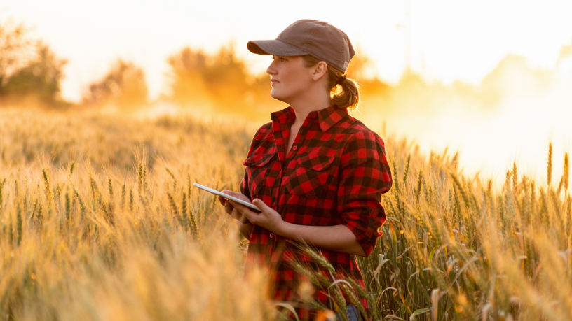 Tecnologia no Campo em Mato Grosso do Sul Impulsiona Produtividade e Posiciona Estado como Referência no Agro