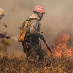 Bombeiros combatem um incêndio florestal em área de vegetação seca no Mato Grosso.