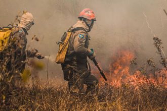 Bombeiros combatem um incêndio florestal em área de vegetação seca no Mato Grosso.