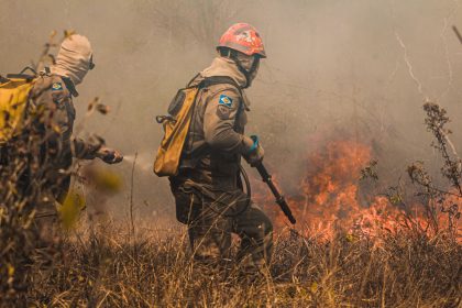 Bombeiros combatem um incêndio florestal em área de vegetação seca no Mato Grosso.