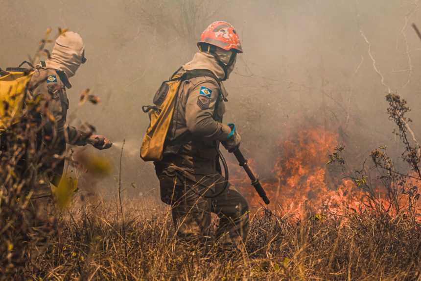 Bombeiros combatem um incêndio florestal em área de vegetação seca no Mato Grosso.